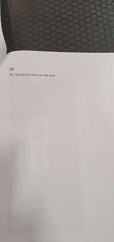 16820887437207301720023534608669