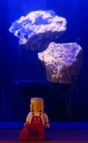 IMG_20230712_101844c