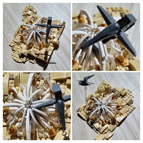 20240623_151721-COLLAGE