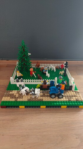 IMG20250304151802