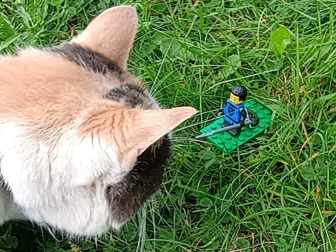 IMG_20250831_155034448_HDR