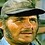 Quint
